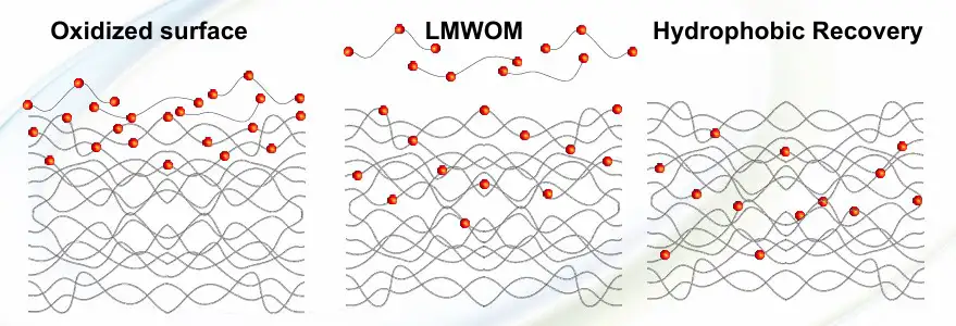 Figure 5. Oxidized-chain movement induced by treatment