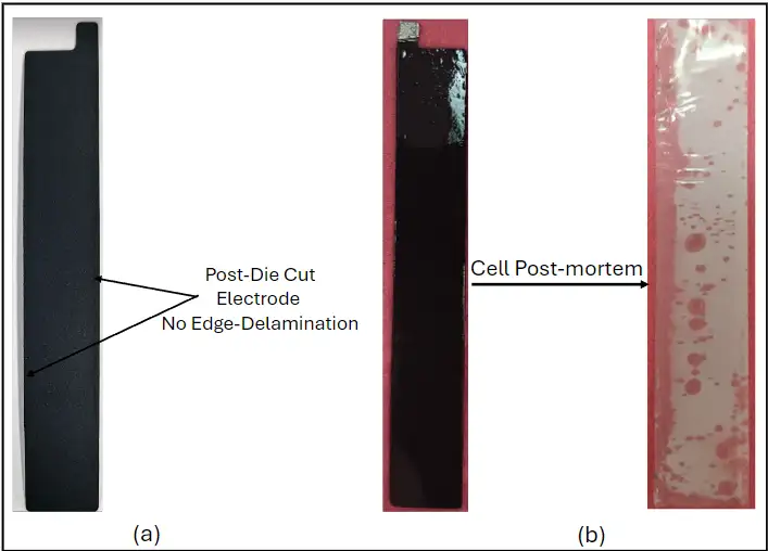 Figure 6. (a) Electrode with no edge-delamination upon using MDC’s LP Press Technology and diecutting protocol, (b) post-mortem of cycled cell: no edge-delamination of cathode material or particles deposition on separator observed.