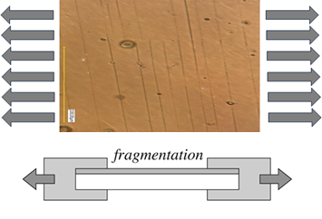 High-performance AlOx thin films for next-generation sustainable flexible packaging: Part 1