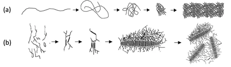 Next generation of sustainable barriers through new PFAS-free, adhesive starch formulations