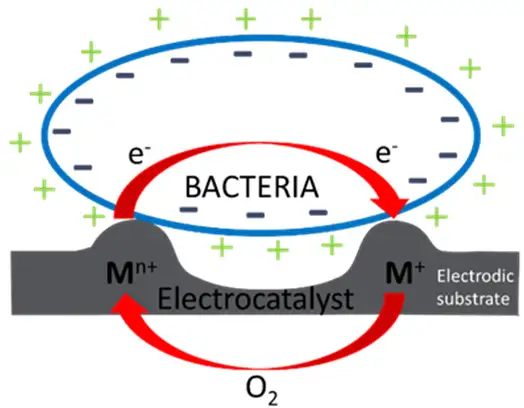 Figure 5. Mechanism of reactive-oxygen generation between nanosized surface features in contact with a microorganism