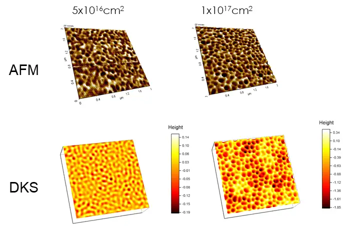 Self-organized nanostructures on polymer substrates using R2R linear ion-beam processes